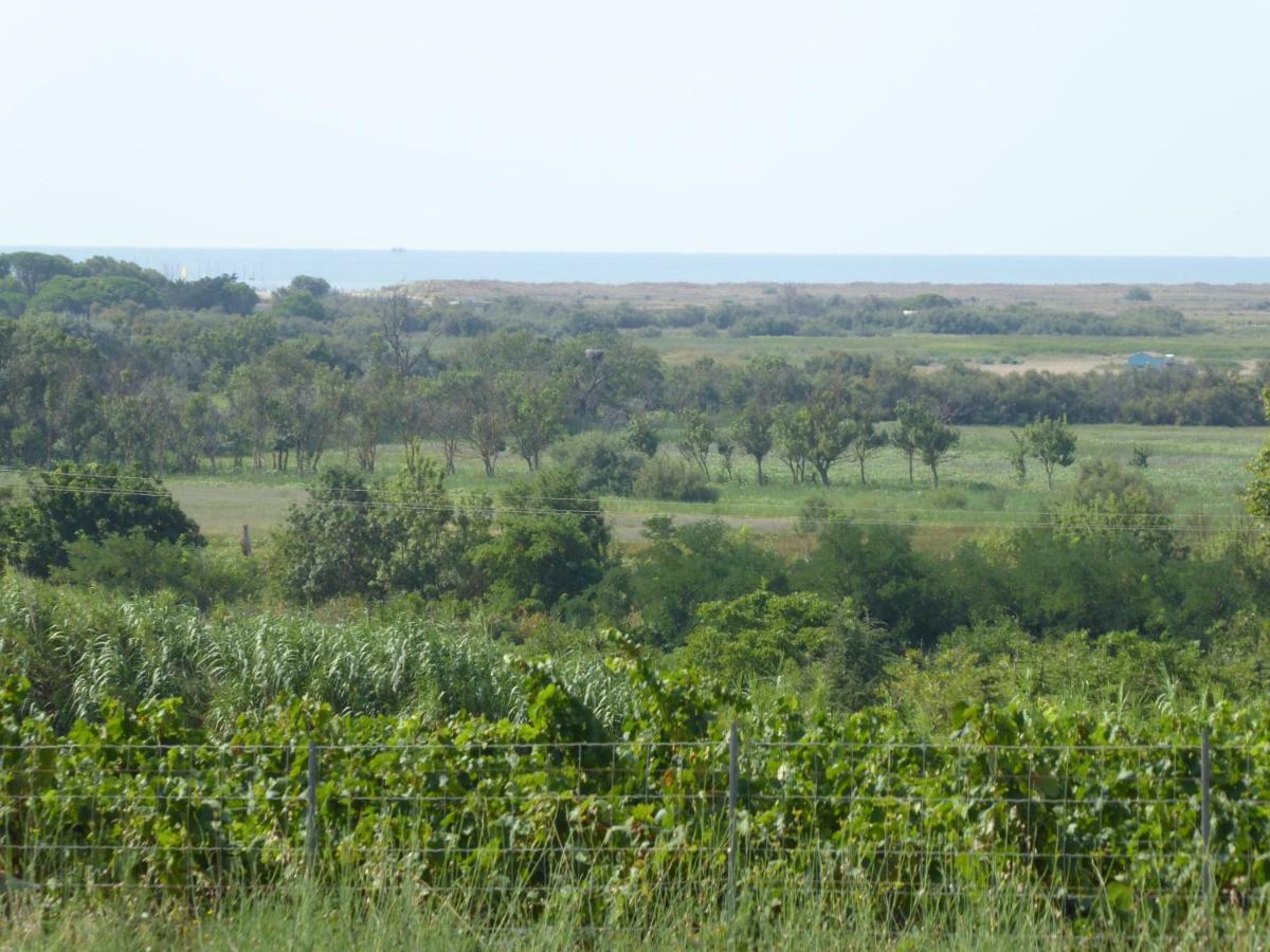 פורטירנייה Gite Des Jonquies, Au Calme Vue Sur Le Canal Du Midi Et La Mer מראה חיצוני תמונה